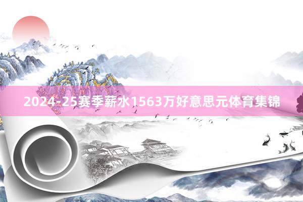 2024-25赛季薪水1563万好意思元体育集锦