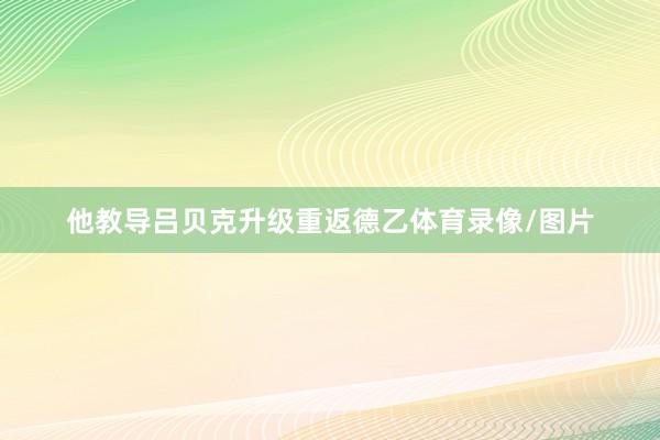 他教导吕贝克升级重返德乙体育录像/图片