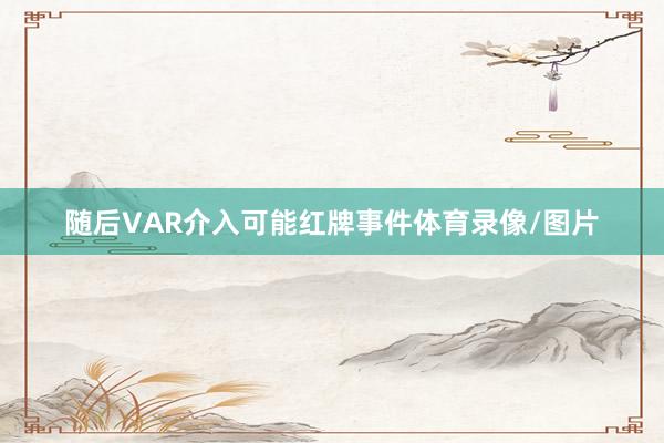 随后VAR介入可能红牌事件体育录像/图片