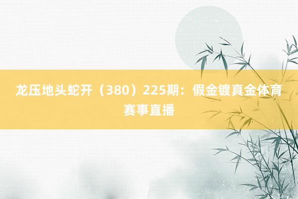 龙压地头蛇开（380）　　225期：假金镀真金体育赛事直播