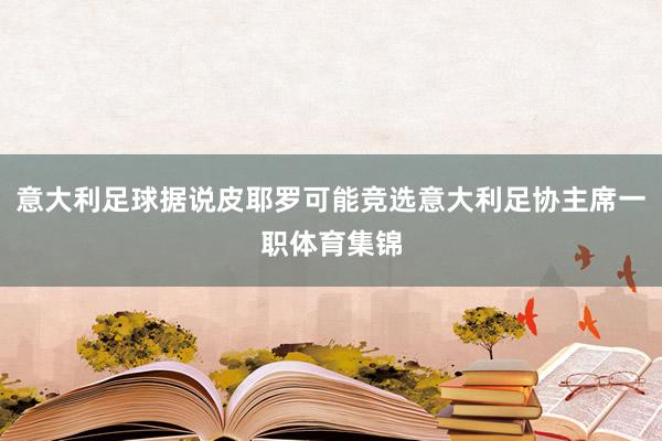 意大利足球据说皮耶罗可能竞选意大利足协主席一职体育集锦