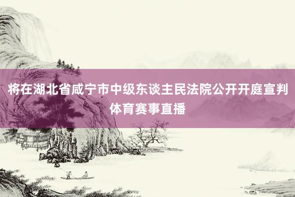 将在湖北省咸宁市中级东谈主民法院公开开庭宣判体育赛事直播